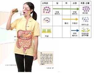 (주)와이비엠 과학2(전자저작물 CD 포함) 271쪽 수정내용 이미지