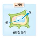 (주)비상교육 생명과학Ⅱ 48쪽 현행내용 이미지