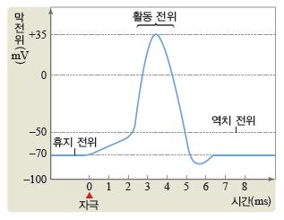 (주)비상교육 생명과학Ⅰ 61쪽 현행내용 이미지