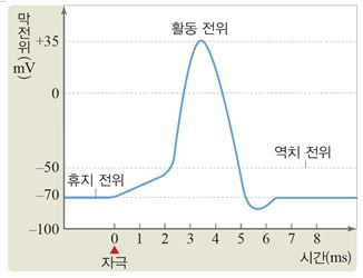 (주)비상교육 생명과학Ⅰ 61쪽 수정내용 이미지