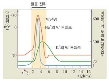 (주)비상교육 생명과학Ⅰ 63쪽 현행내용 이미지