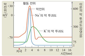 (주)비상교육 생명과학Ⅰ 63쪽 수정내용 이미지