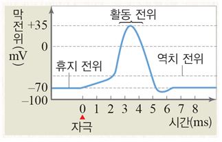 (주)비상교육 생명과학Ⅰ 105쪽 현행내용 이미지