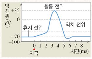 (주)비상교육 생명과학Ⅰ 105쪽 수정내용 이미지