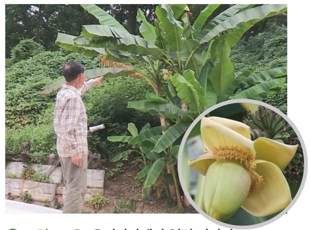 (주)미래엔 통합과학 256쪽 현행내용 이미지