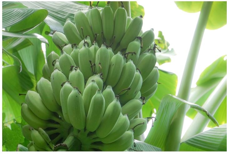 (주)미래엔 통합과학 256쪽 수정내용 이미지