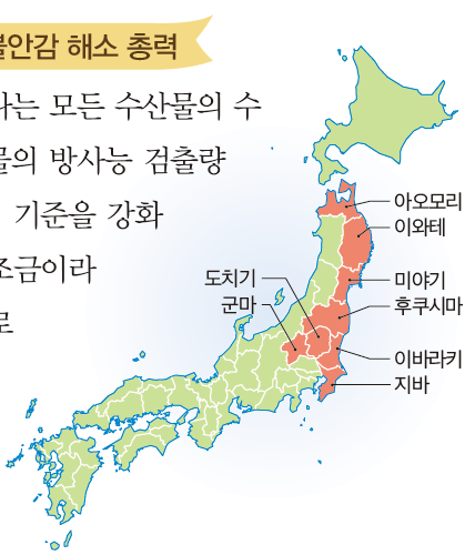 (주)미래엔 정치와 법 191쪽 수정내용 이미지