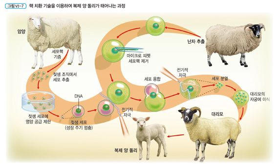 (주)지학사 기술·가정② 219쪽 현행내용 이미지