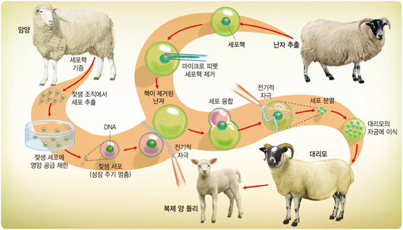 (주)지학사 기술·가정② 219쪽 수정내용 이미지