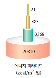 (주)천재교육 통합과학 260쪽 현행내용 이미지