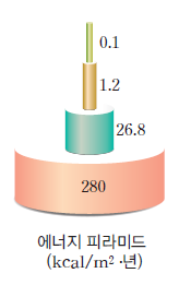 (주)천재교육 통합과학 260쪽 수정내용 이미지