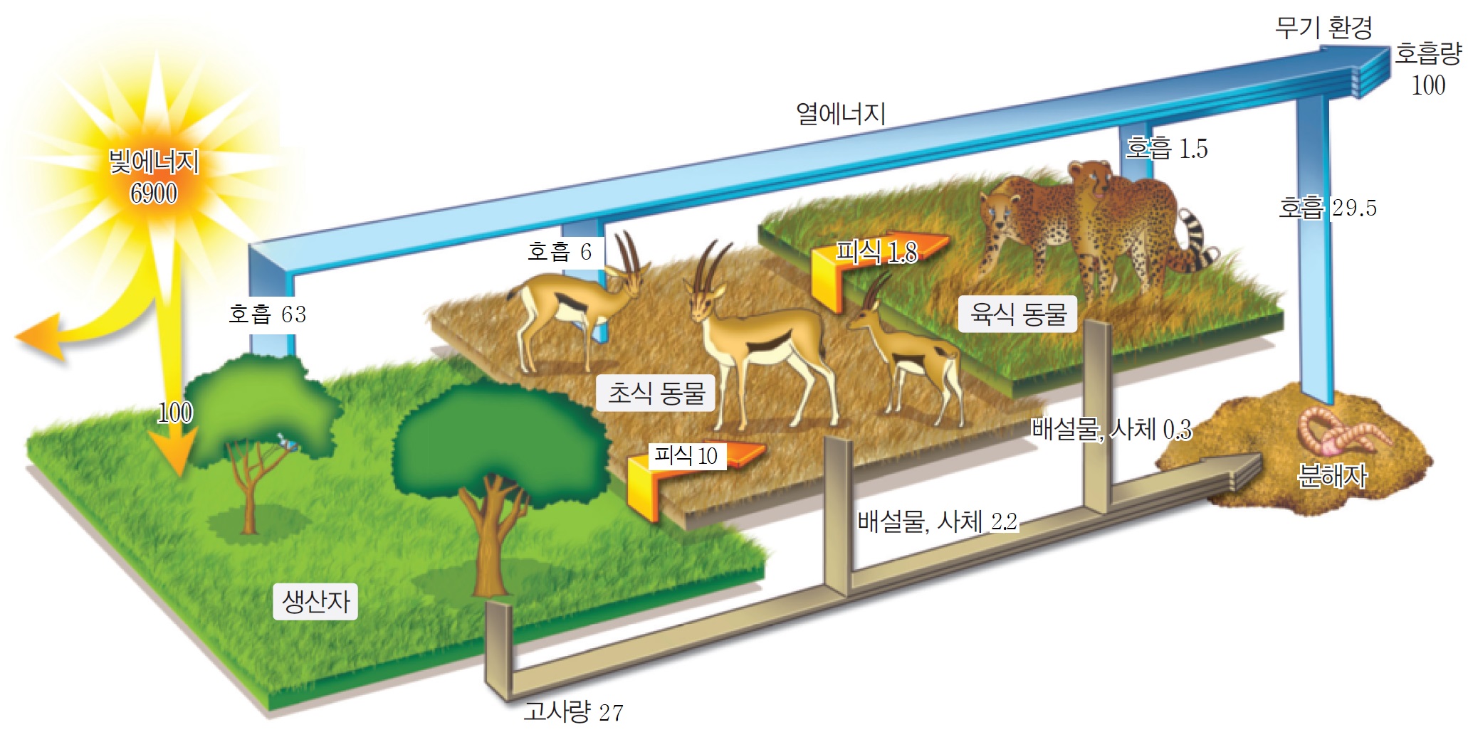 안정된 생태계에서 영양 단계에 따른 에너지의 이동량