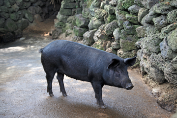교육출판세종 농업 기초 기술 119쪽 수정내용 이미지