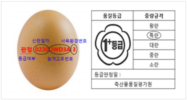달걀의 중량에 따른 분류(위)와 등급 표시(아래)