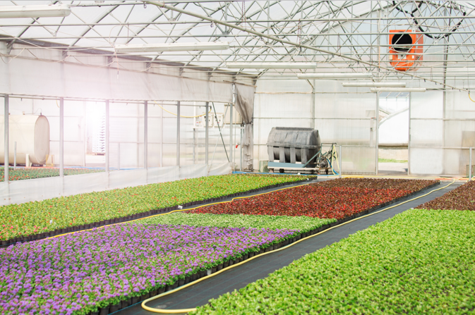 교육출판세종 농업 정보 관리 53쪽 수정내용 이미지