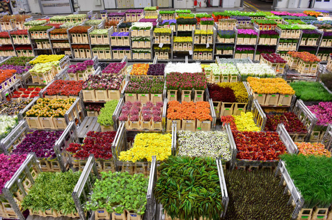 교육출판세종 농업 정보 관리 215쪽 수정내용 이미지
