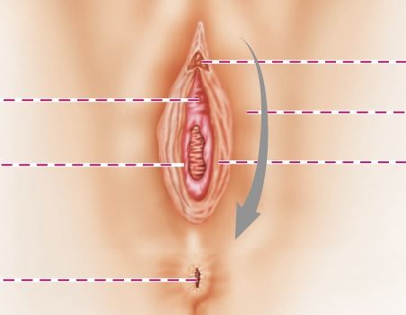 (주)와이비엠 보건 70쪽 수정내용 이미지