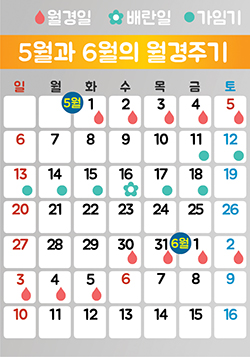 (주)와이비엠 보건 71쪽 수정내용 이미지