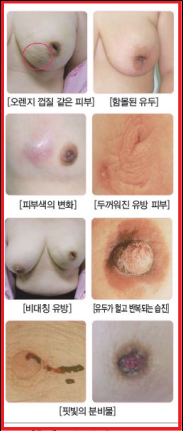 (주)와이비엠 보건 193쪽 현행내용 이미지