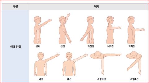 피앤피북 기초 간호 임상 실무 141쪽 현행내용 이미지