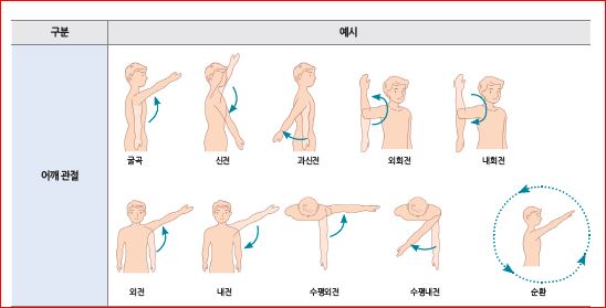 피앤피북 기초 간호 임상 실무 141쪽 수정내용 이미지