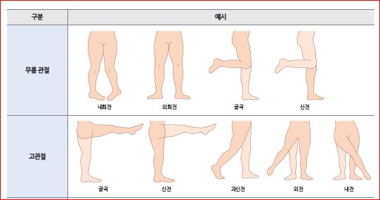 피앤피북 기초 간호 임상 실무 142쪽 현행내용 이미지