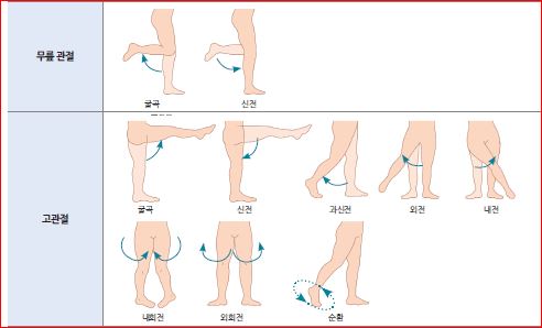 피앤피북 기초 간호 임상 실무 142쪽 수정내용 이미지