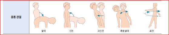 피앤피북 기초 간호 임상 실무 142쪽 수정내용 이미지