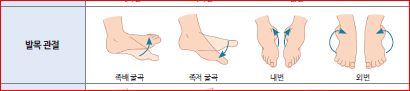 피앤피북 기초 간호 임상 실무 142쪽 수정내용 이미지