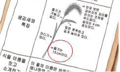 (주)비상교육 과학3~4 ④ 27쪽 현행내용 이미지