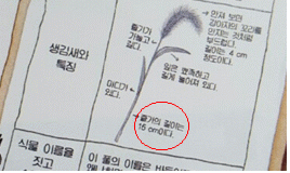 (주)비상교육 과학3~4 ④ 27쪽 수정내용 이미지
