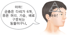 (주)비상교육 과학5~6(전자저작물CD 포함) ② 70쪽 수정내용 이미지