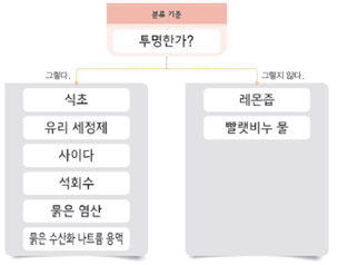 (주)비상교육 과학5~6(전자저작물CD 포함) ② 249쪽 현행내용 이미지