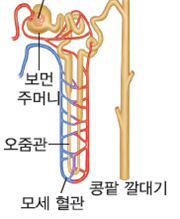 (주)비상교육 과학5~6(전자저작물CD 포함) ② 363쪽 현행내용 이미지