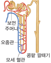 (주)비상교육 과학5~6(전자저작물CD 포함) ② 363쪽 수정내용 이미지