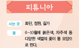 (주)비상교육 실험관찰3~4 ④ 86쪽 수정내용 이미지