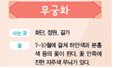 (주)비상교육 실험관찰3~4 ④ 86쪽 수정내용 이미지