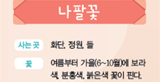 (주)비상교육 실험관찰3~4 ④ 88쪽 현행내용 이미지
