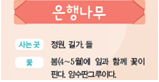 (주)비상교육 실험관찰3~4 ④ 88쪽 현행내용 이미지