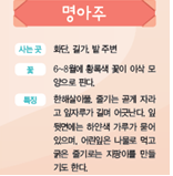 (주)비상교육 실험관찰3~4 ④ 90쪽 수정내용 이미지