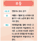 (주)비상교육 실험관찰3~4 ④ 90쪽 현행내용 이미지
