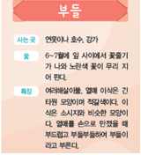 (주)비상교육 실험관찰3~4 ④ 90쪽 수정내용 이미지