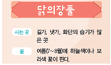 (주)비상교육 실험관찰3~4 ④ 90쪽 현행내용 이미지