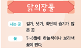 (주)비상교육 실험관찰3~4 ④ 90쪽 수정내용 이미지
