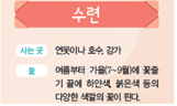 (주)비상교육 실험관찰3~4 ④ 92쪽 현행내용 이미지