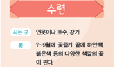 (주)비상교육 실험관찰3~4 ④ 92쪽 수정내용 이미지