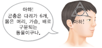 (주)비상교육 과학3~4(전자저작물CD 포함) ④ 70쪽 수정내용 이미지