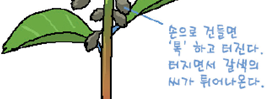 (주)비상교육 과학3~4(전자저작물CD 포함) ④ 196쪽 현행내용 이미지