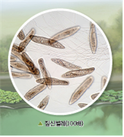(주)비상교육 과학5~6 ④ 28쪽 현행내용 이미지