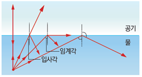 (주)비상교육 과학3~4(전자저작물CD 포함) ④ 335쪽 수정내용 이미지